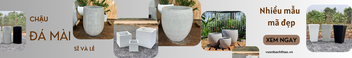 CHẬU XI MĂNG ĐÁ MÀI