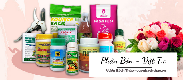 Phân Bón Vật Tư Chăm Sóc Cây Cảnh