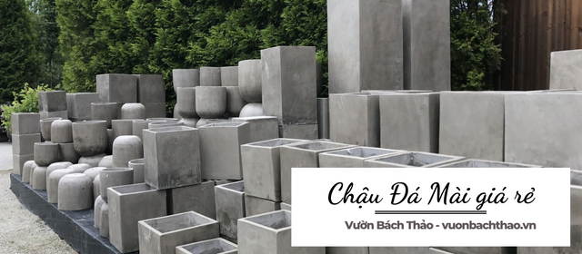 Cung cấp chậu trồng cây