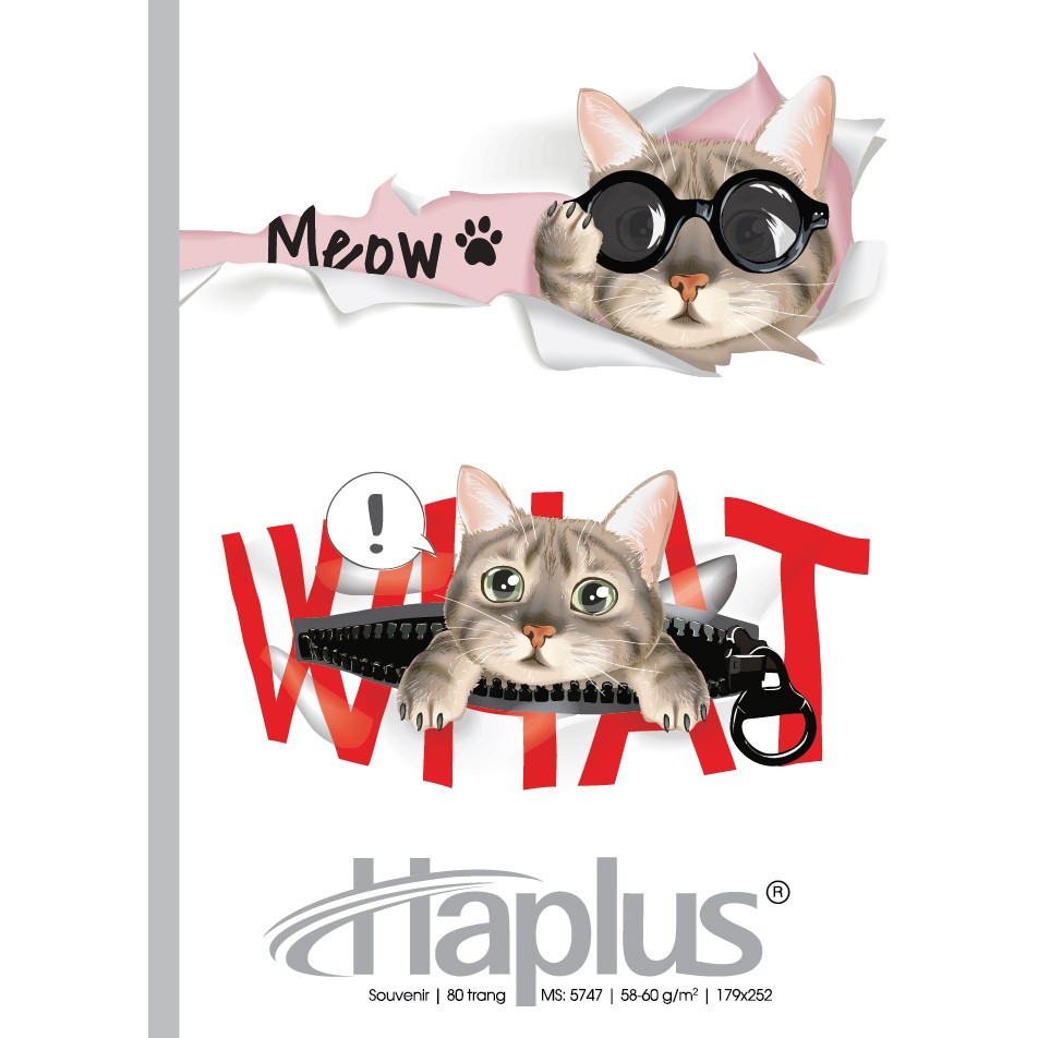 Vở Haplus Sovenir 80 trang