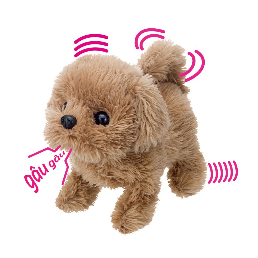 Cún con- Baby Toypoodle