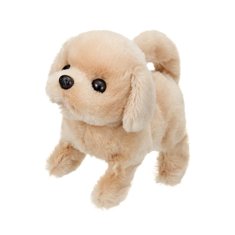 Cún con - Baby Retriever
