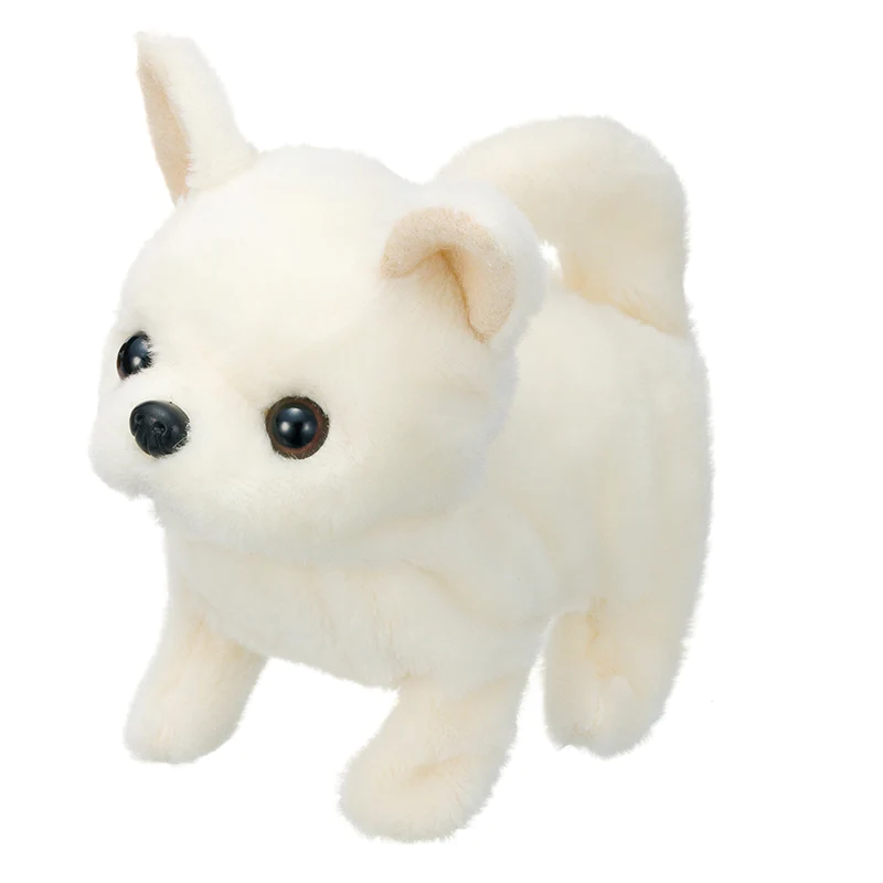 Cún con - Baby Chihuahua