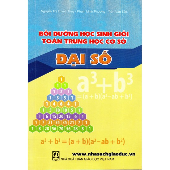 Bồi dưỡng HSG Toán THCS Đại số