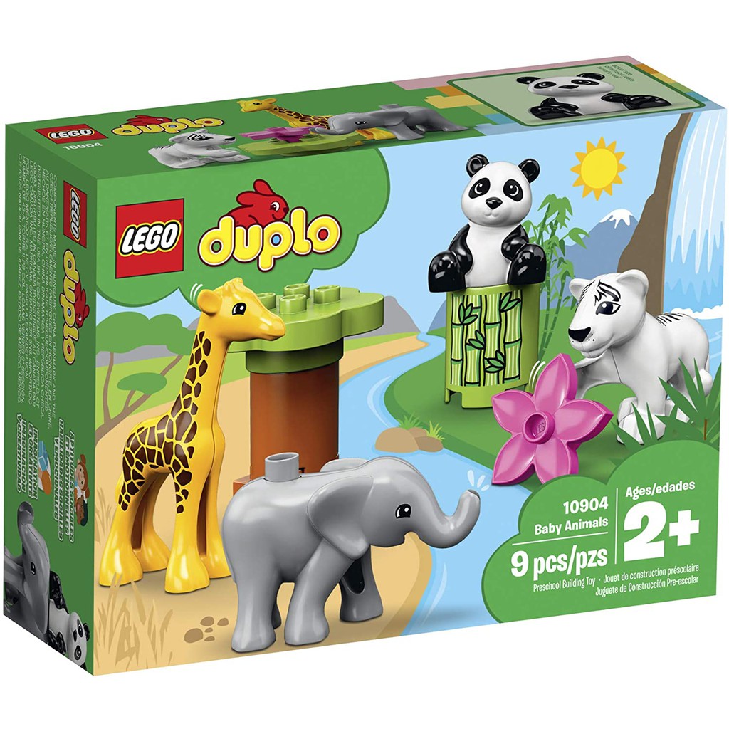 Bộ Thú Cưng Hoang Dã Của Bé