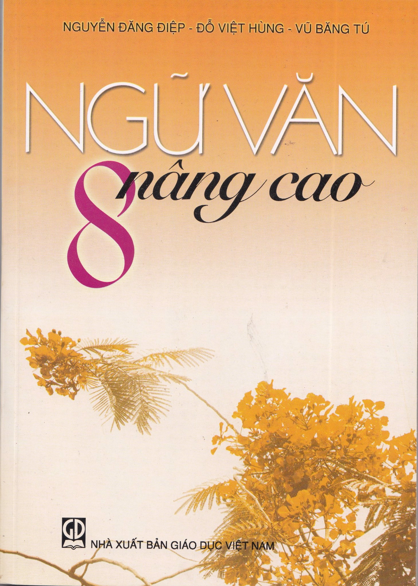 Ngữ văn 8 nâng cao
