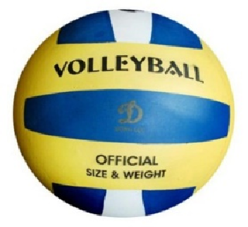 Quả bóng chuyền da