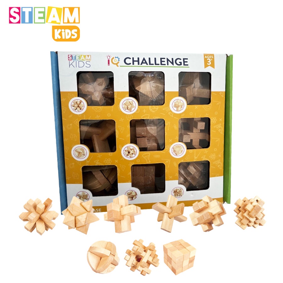 Trò chơi thử thách trí tuệ khóa gỗ