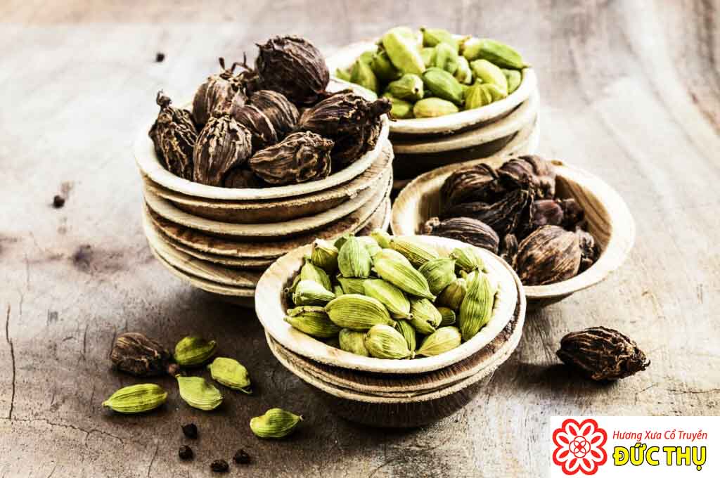 Thảo Quả Thảo Quả