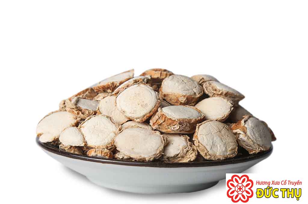 Địa Liền Địa Liền