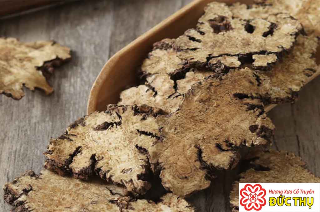 Cây Xuyên Khung Cây Xuyên Khung