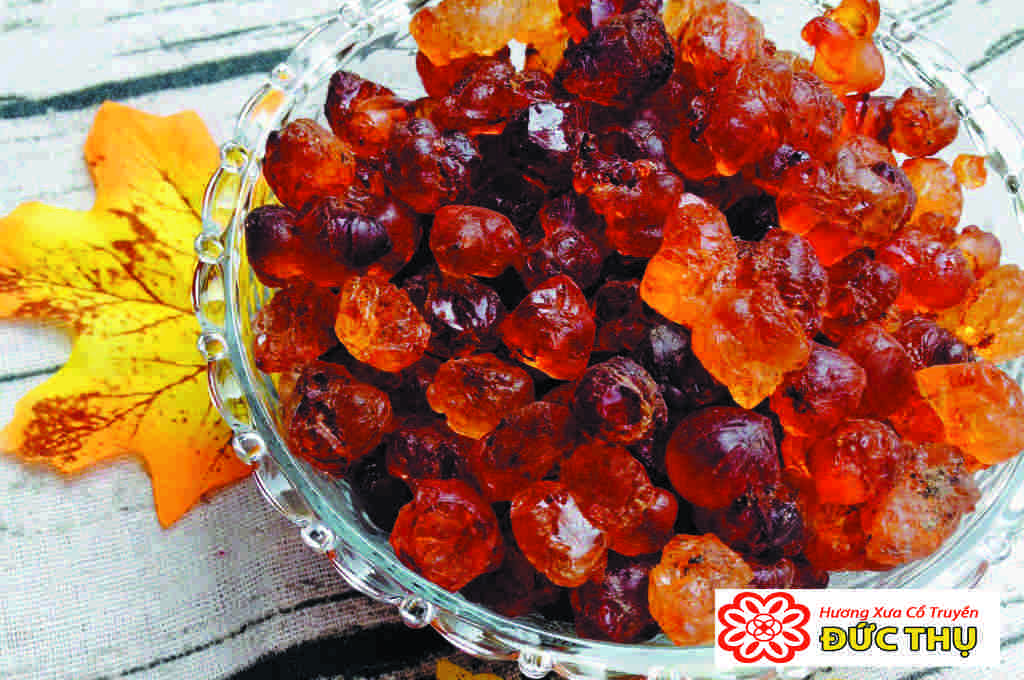 Nhựa Cây Trám Nhựa Cây Trám