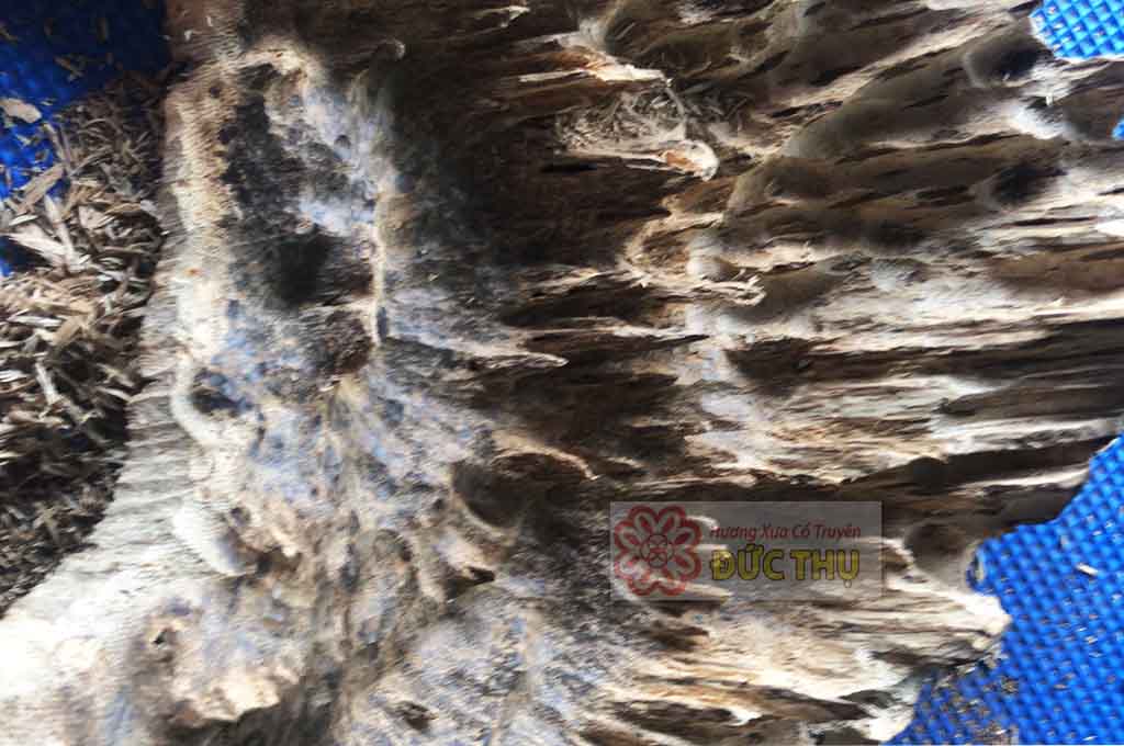 Trầm Hương Miếng