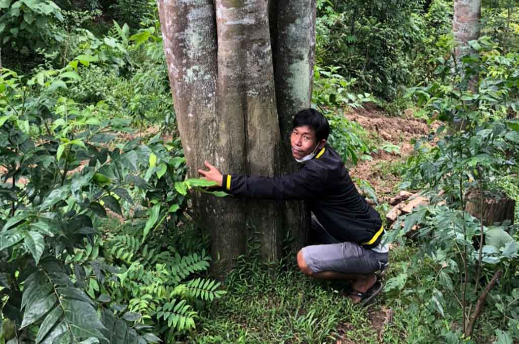Nén Nhang Trầm Hương