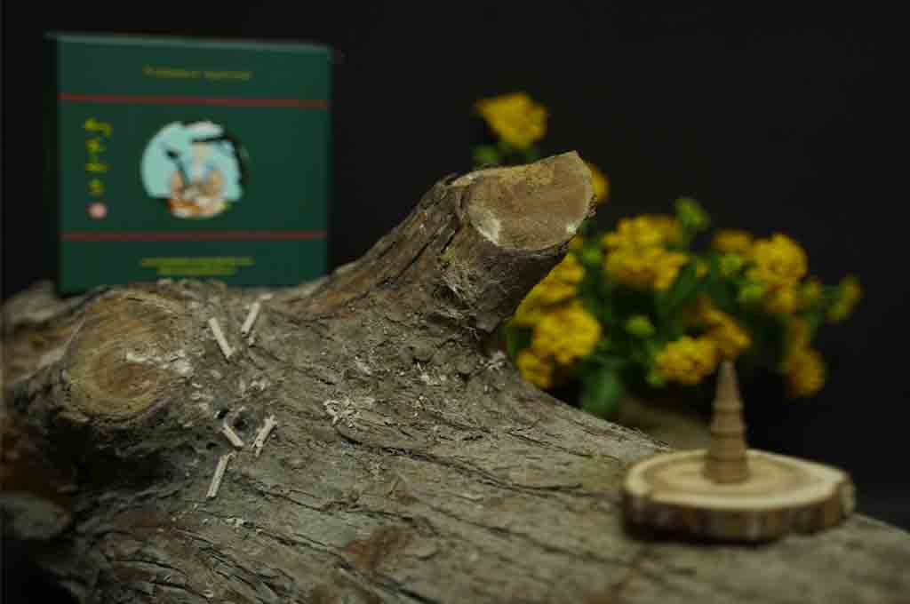 Nụ Trầm Hương Hà Nội