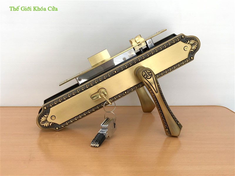 Tổng hợp các loại khóa cửa gỗ phổ biến nhất trên thị trường hiện nay