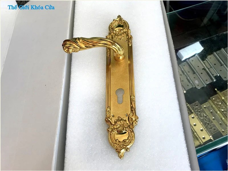 Vì sao phong cách Indochine cần lựa chọn khóa đại sảnh cao cấp thay vì khóa thông thường