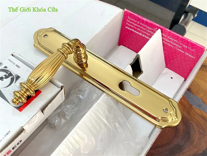 Những mẫu khóa đại sảnh được ưa chuộng nhất cho nhà phố theo phong cách nội thất châu Âu