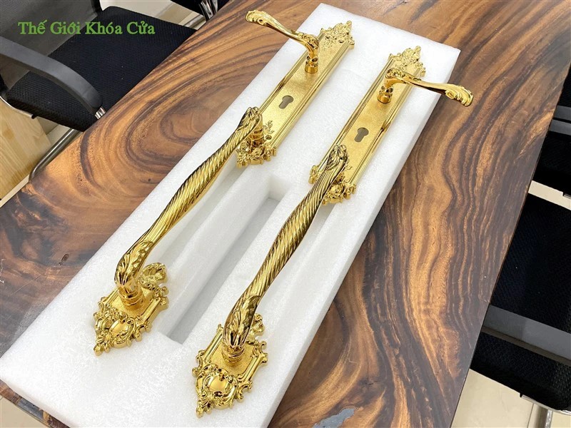 Khóa đại sảnh nhập khẩu Thái Lan cho nhà phố hiện đại