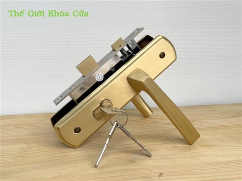 Lỗi thường gặp trên khóa cửa chính tay gạt và cách khắc phục nhanh chóng