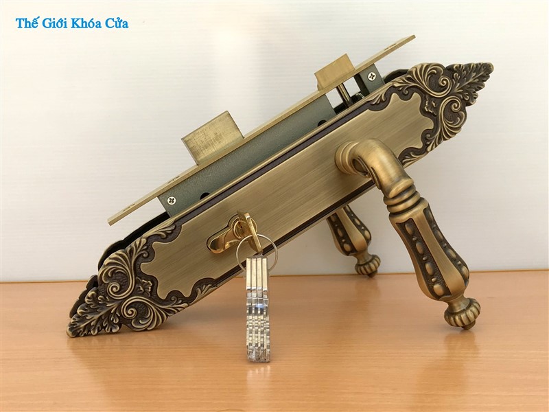 Cách xử lý khóa cửa chính tay gạt bị kẹt hoặc xệ tay nắm tại nhà