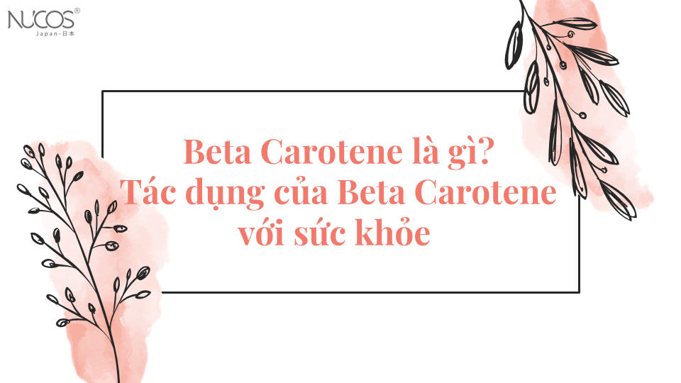 Beta Carotene là gì? Tác dụng của Beta Carotene với sức khỏe 