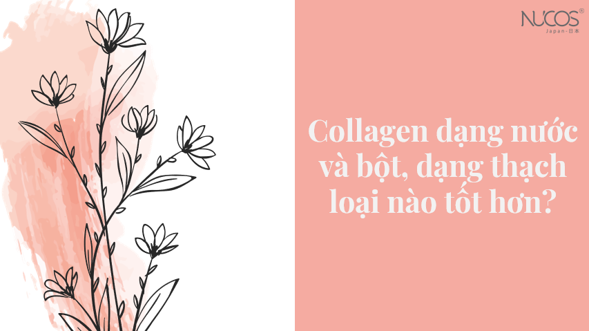 Collagen có bao nhiêu loại? Collagen dạng bột, nước hay thạch tốt hơn?