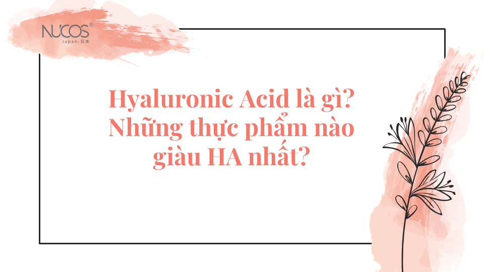 Hyaluronic Acid là gì? Những thực phẩm nào giàu HA nhất?