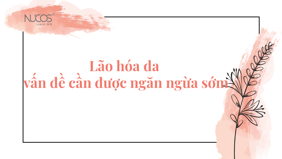 Lão hóa da là gì? Nguyên nhân, dấu hiệu và cách cải thiện