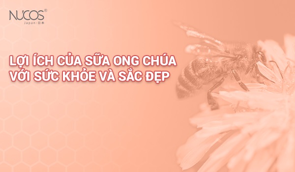 Sữa ong chúa là gì: ​Lợi ích và ứng dụng trong cuộc sống