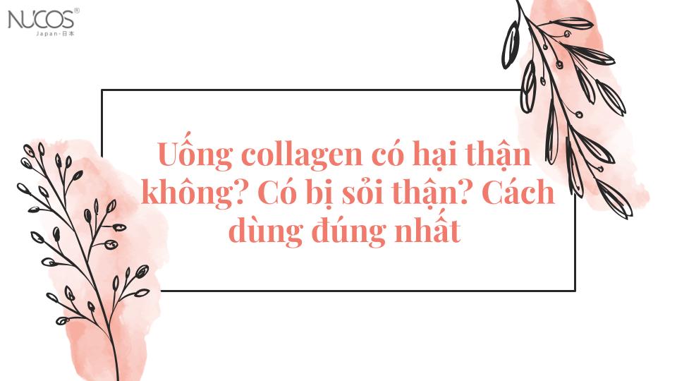 Uống collagen có hại thận không? Có bị sỏi thận? Cách dùng đúng nhất