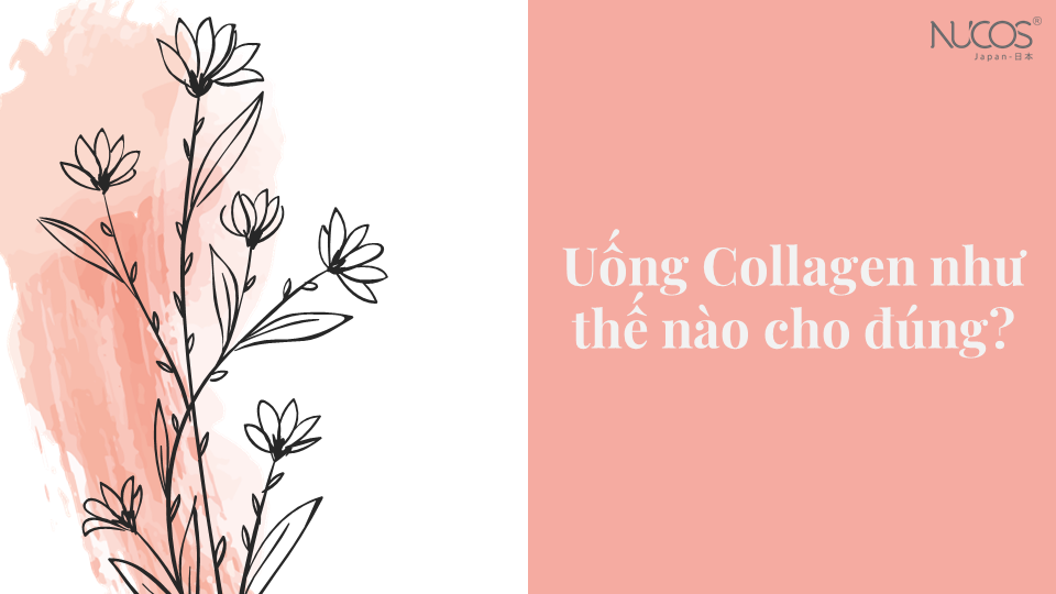 Uống Collagen như thế nào cho đúng?