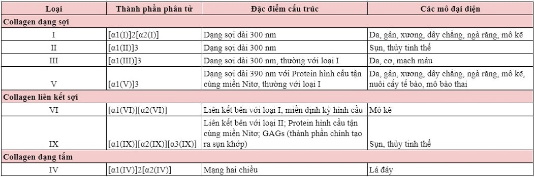 Bảng các loại Collagen