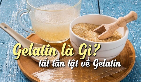 gelatin là gì