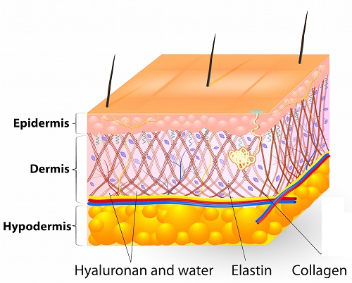 Tại sao bạn cần phải uống collagen?