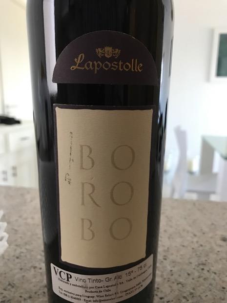 Rượu vang Casa Lapostolle Borobo  