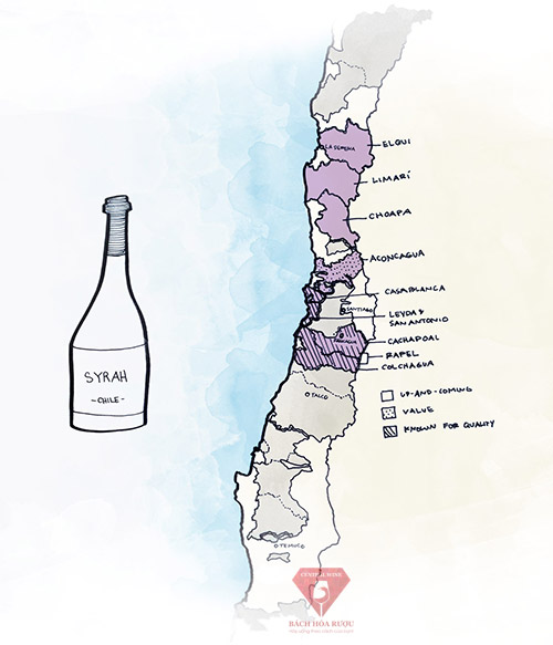 Vùng rượu vang ngon nhất ở Chile cho rượu vang đỏ Syrah