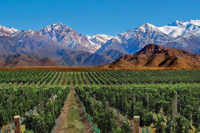 tour du lịch rượu vang mendoza