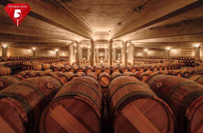 Hầm rượu nhà Châteaux Lafite-Rothschild với nhiều Fine Wine