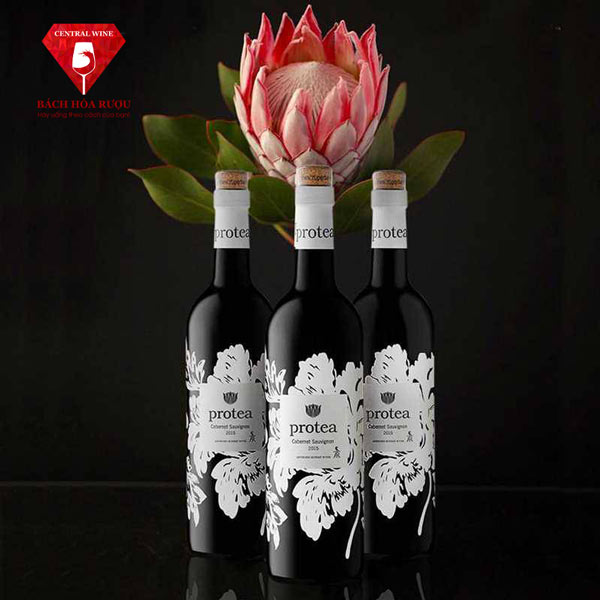 Rượu Vang Protea Cabernet Sauvignon