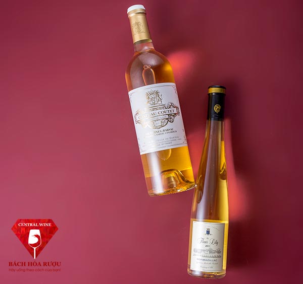 Vang Bordeaux và vùng Tây Nam nước Pháp