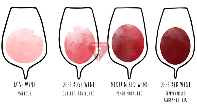 Các màu sắc khác nhau của rượu vang (từ hồng tới đỏ đậm)