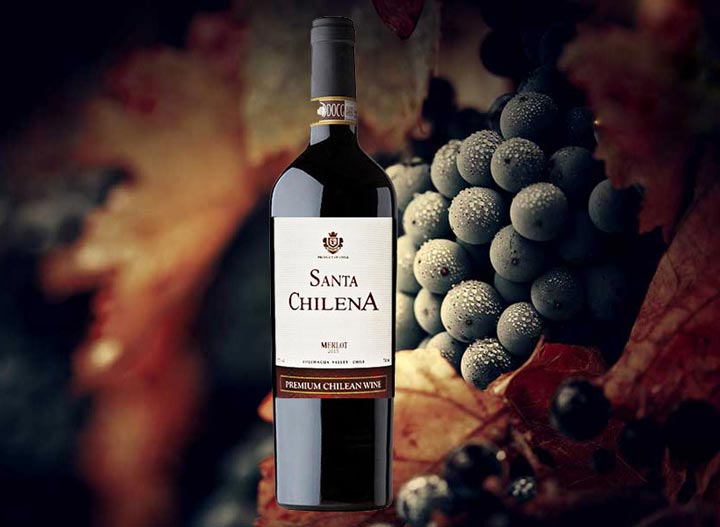 Santa Chilena Merlot