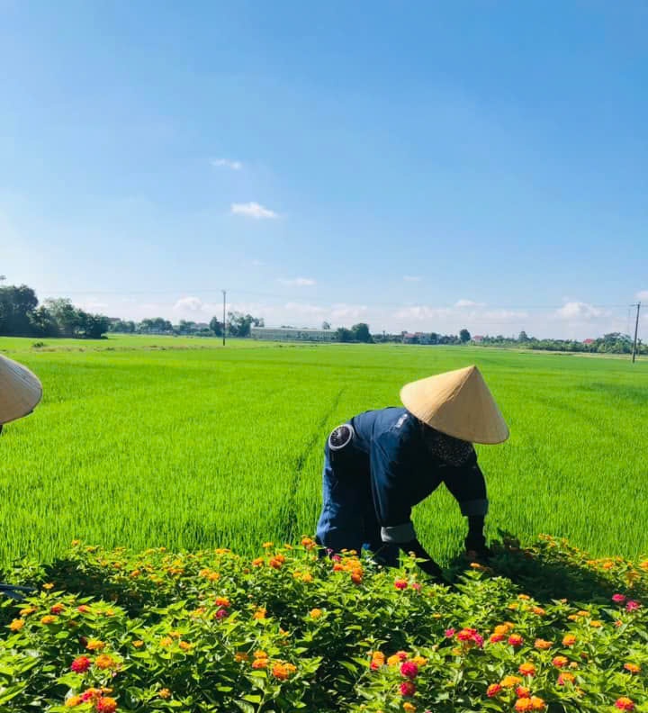 Mua áo điều hòa Kenko ở Đà Nẵng uy tín, chất lượng nhất