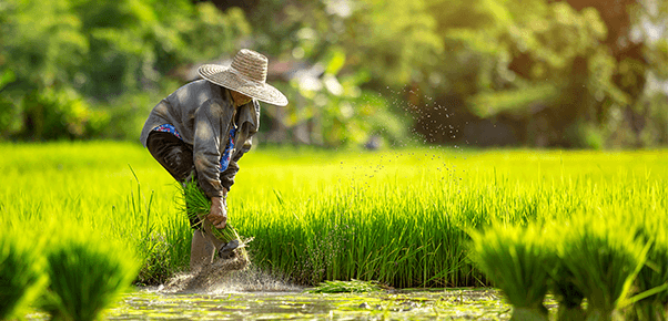 Thành tựu đạt được
