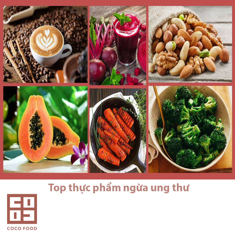 Top thực phẩm ngăn ngừa ung thư Top thực phẩm ngăn ngừa ung thư