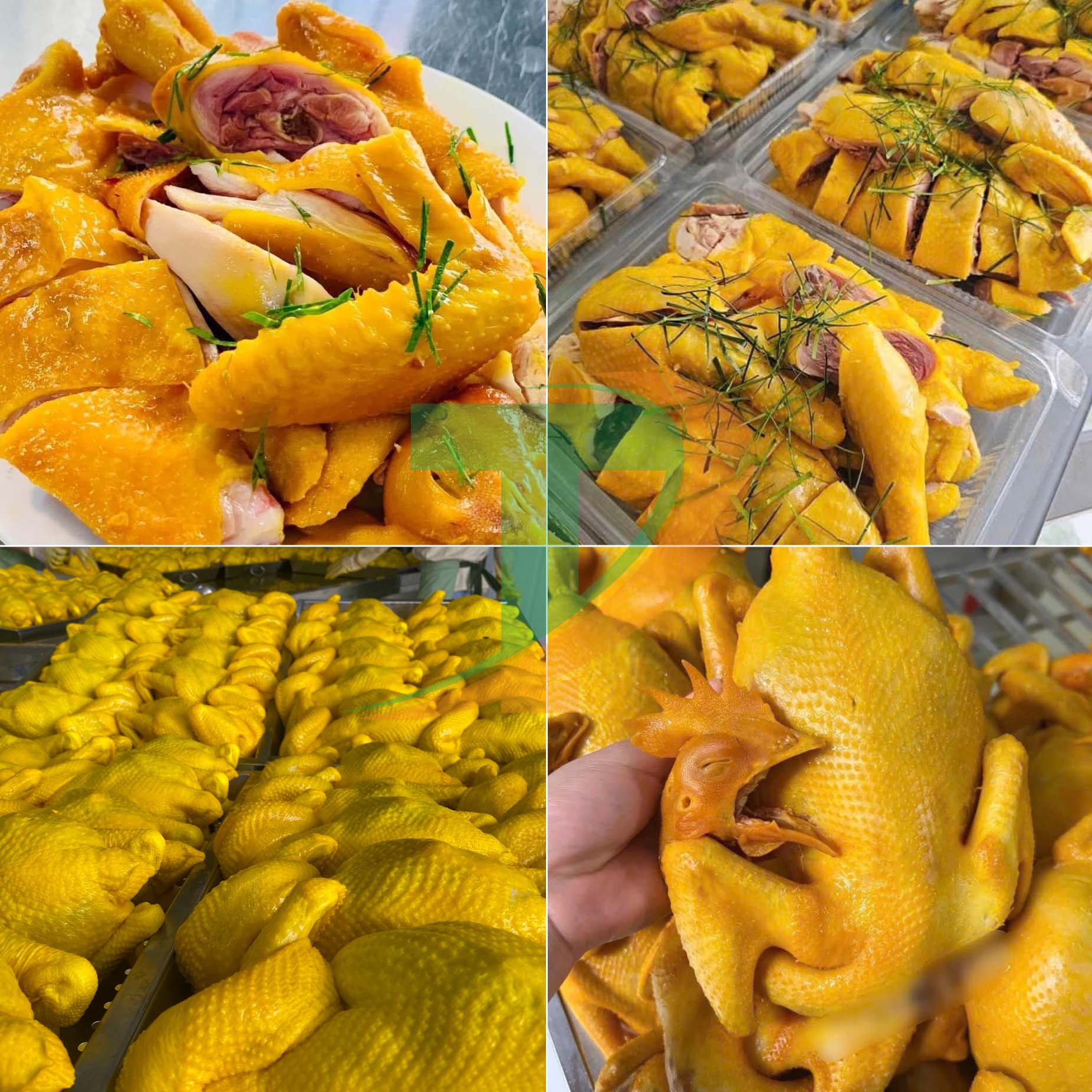 BÍ KÍP CHỌN GÀ Ủ MUỐI CHUẨN NGON