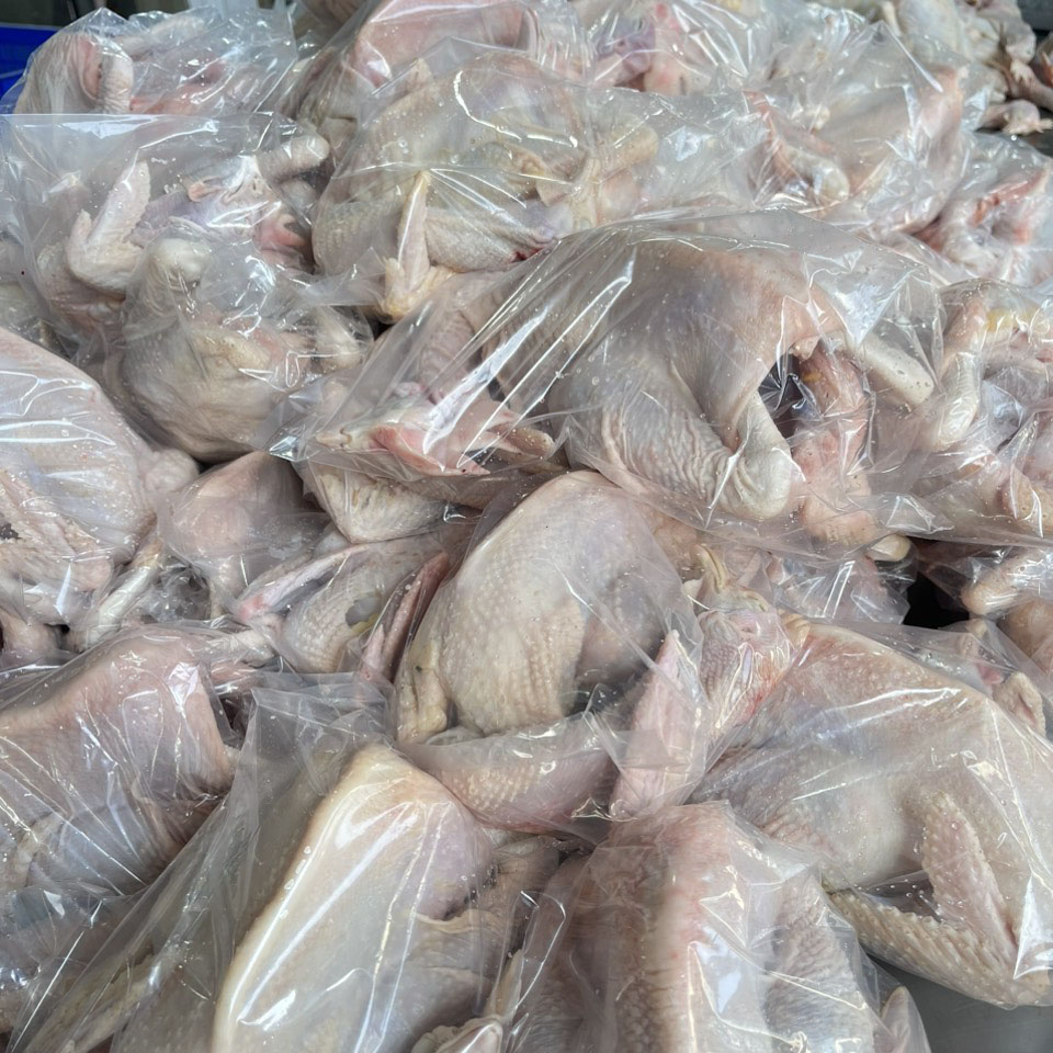 Chuyên cung cấp thịt gà tươi uy tín giá tốt tại Nghệ An