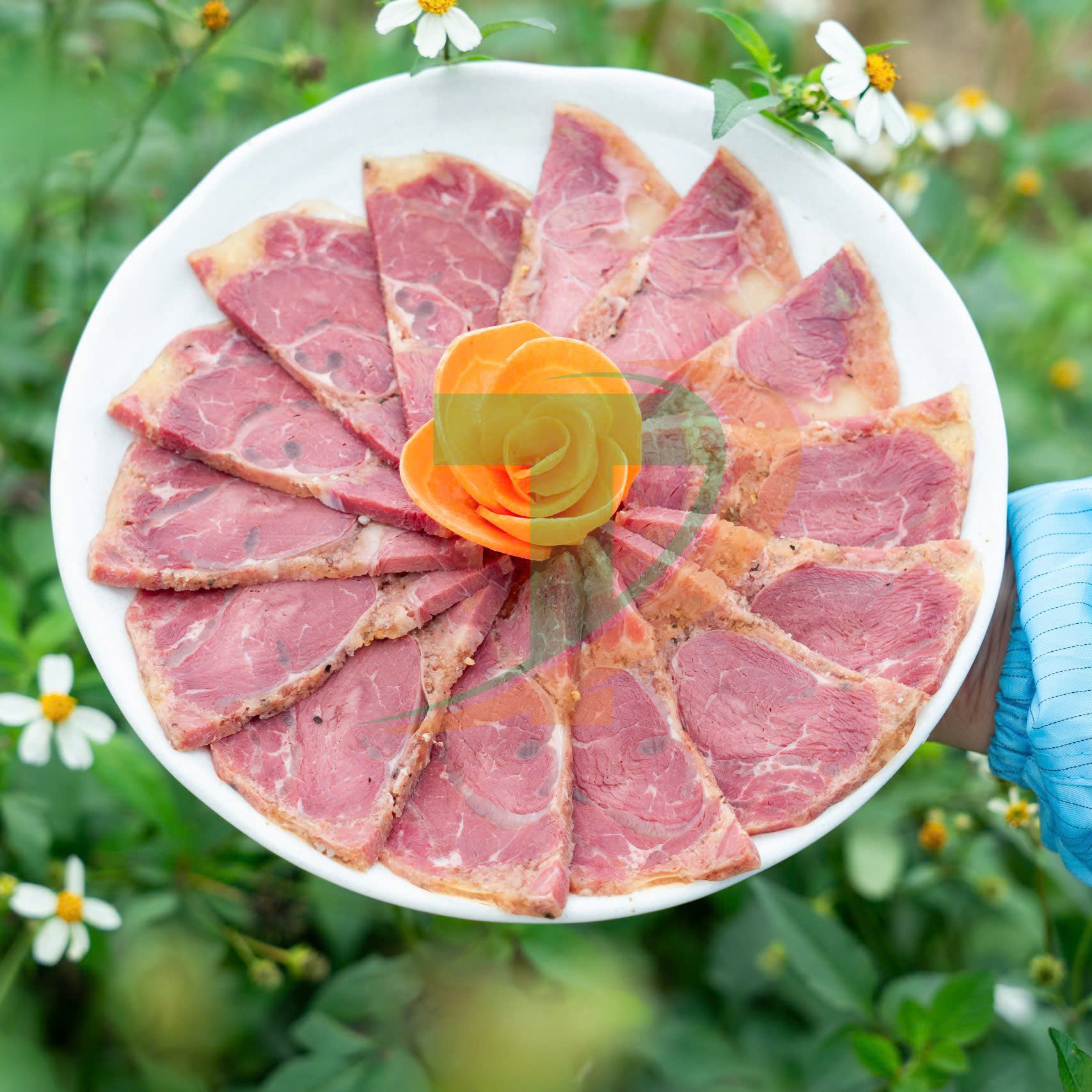 MUA GIÒ BÊ NGHỆ AN - ĐẶC SẢN MÙA TẾT 2025