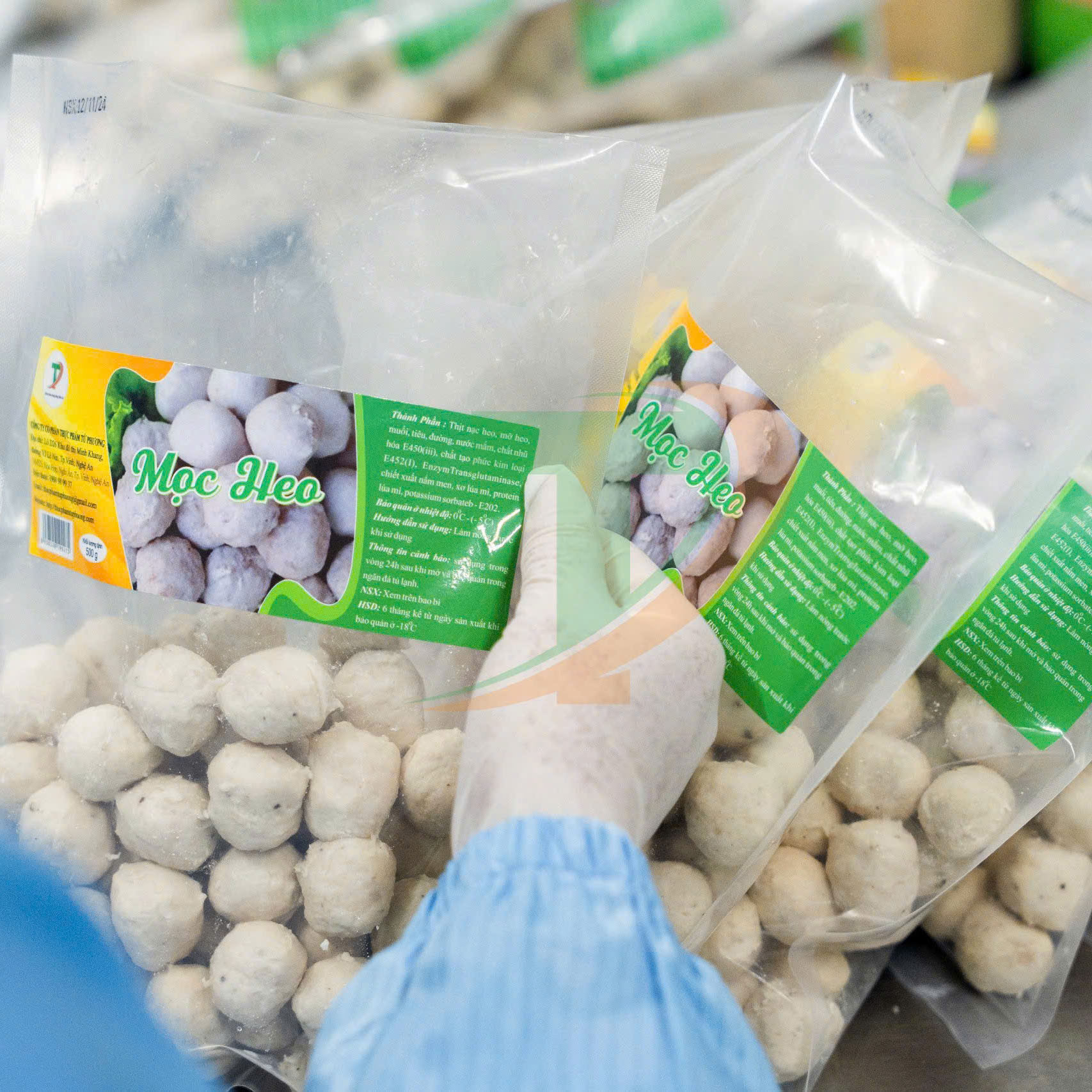 TUYỂN SỈ MỌC HEO GIÁ GỐC TỪ NHÀ MÁY – NGUỒN HÀNG ỔN ĐỊNH TỪ NHÀ MÁY SẢN XUẤT TỨ PHƯƠNG.